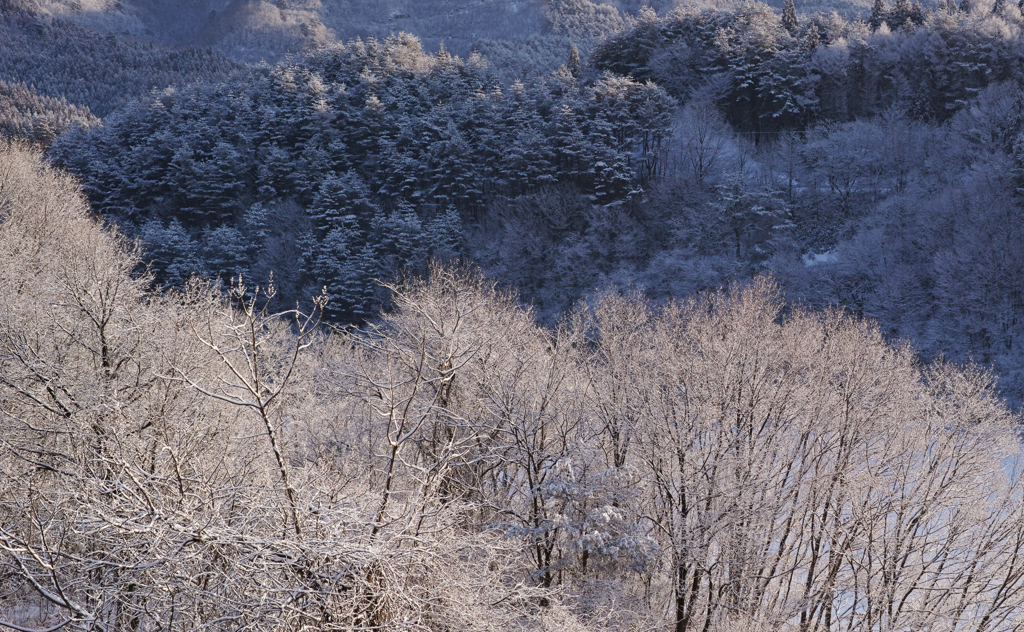 Snow contrast