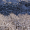 Snow contrast