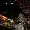 屋台のある春風景