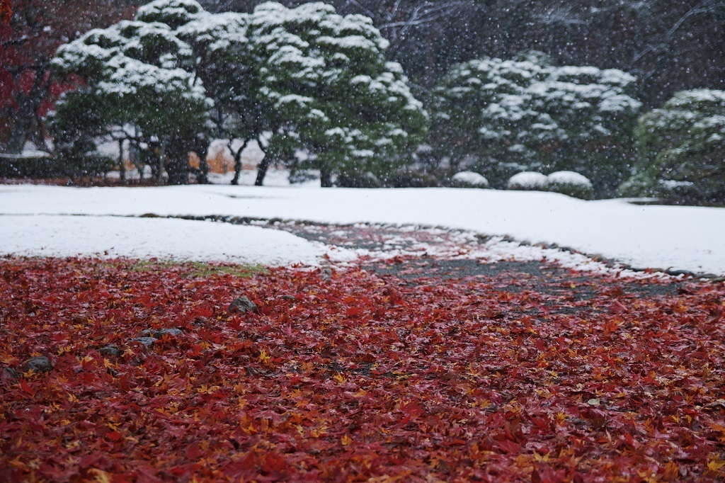 border of seasons