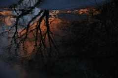 reflection