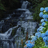 Last blue