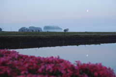 Flower Moons