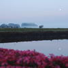 Flower Moons