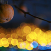 illumination