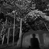 夜影