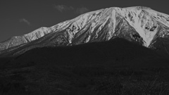 浮雪