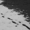 moving away from spring