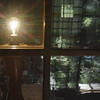 light & reflection