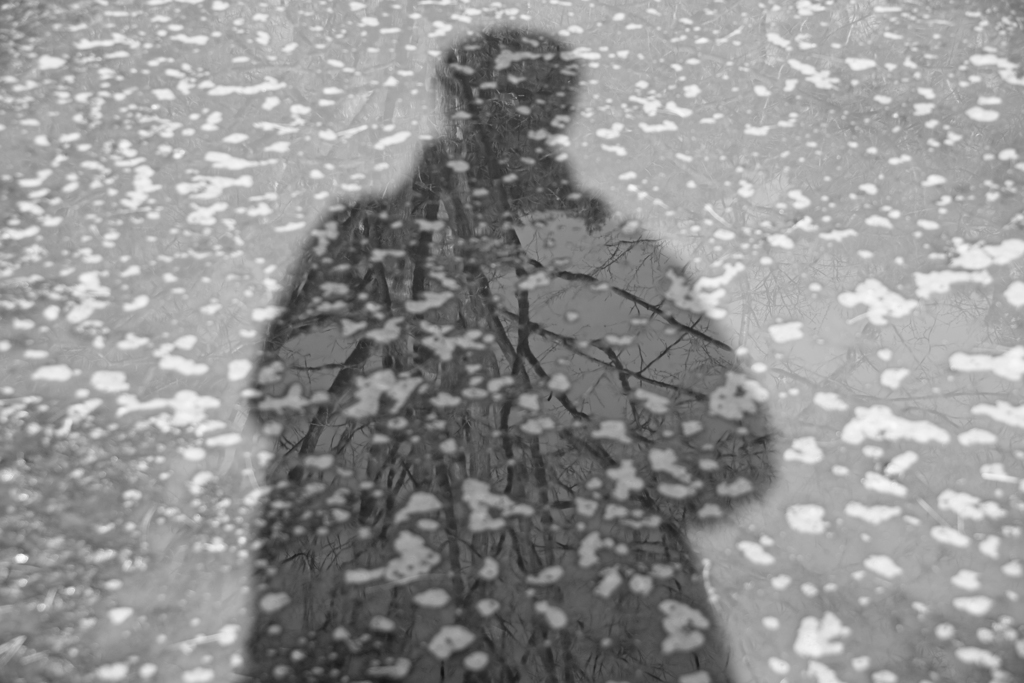 shadow