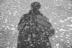 shadow