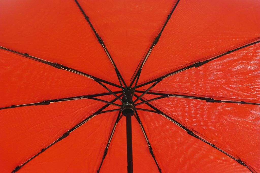 The Red