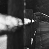 Monochrome bubbles