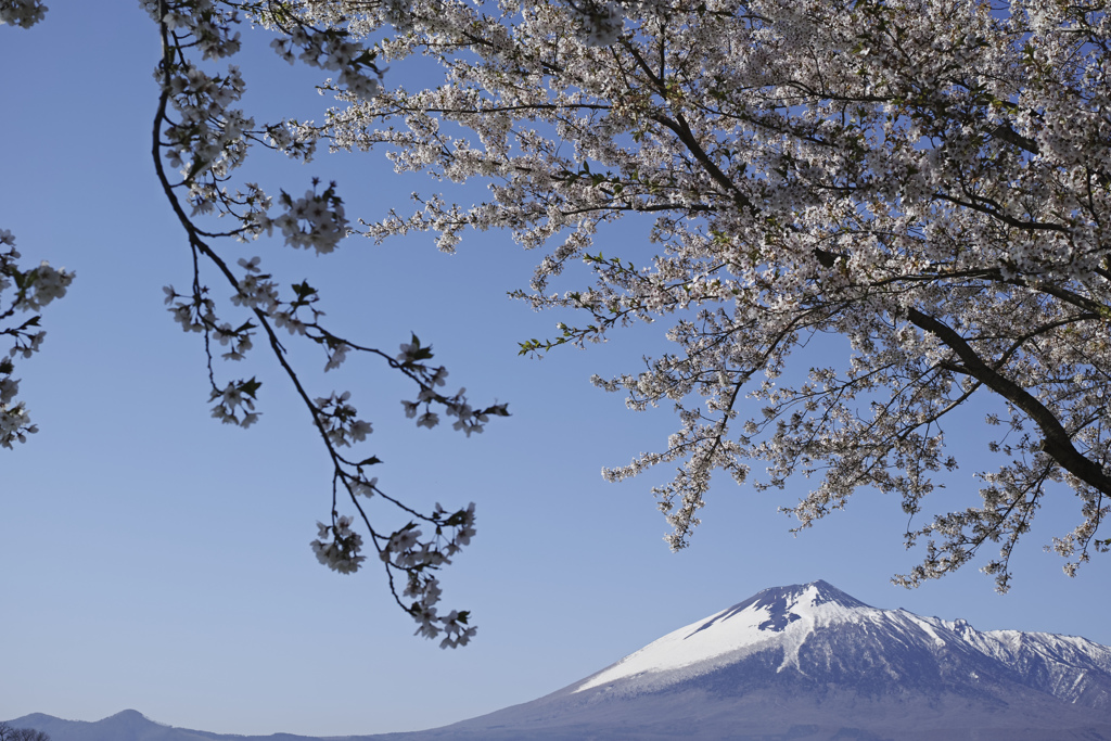 岩手山のある風景