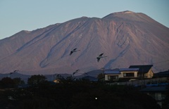 冬の刻印