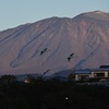 冬の刻印