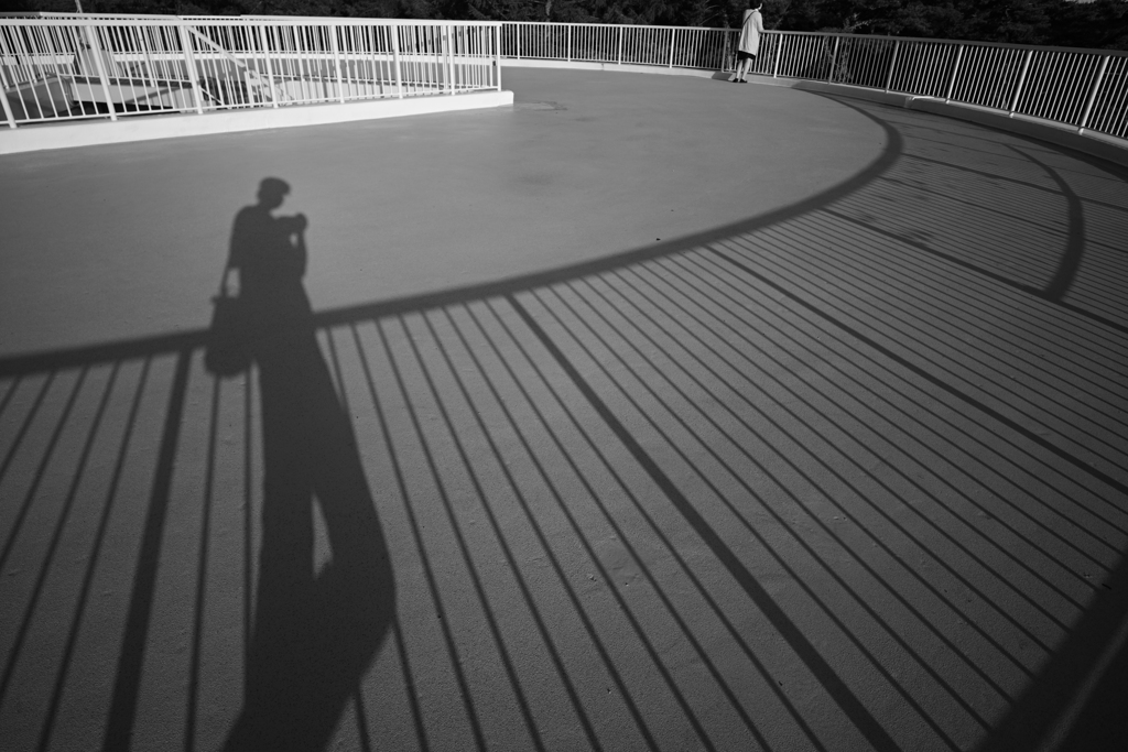 Shadow curve