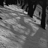 Walk the dog