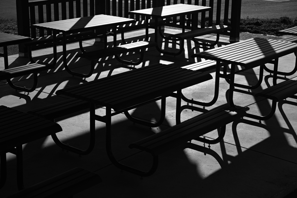 Feast of Shadows