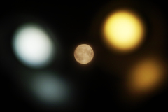 Moon lights