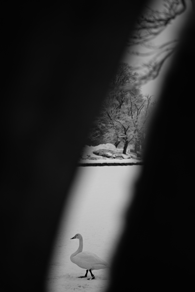 gap