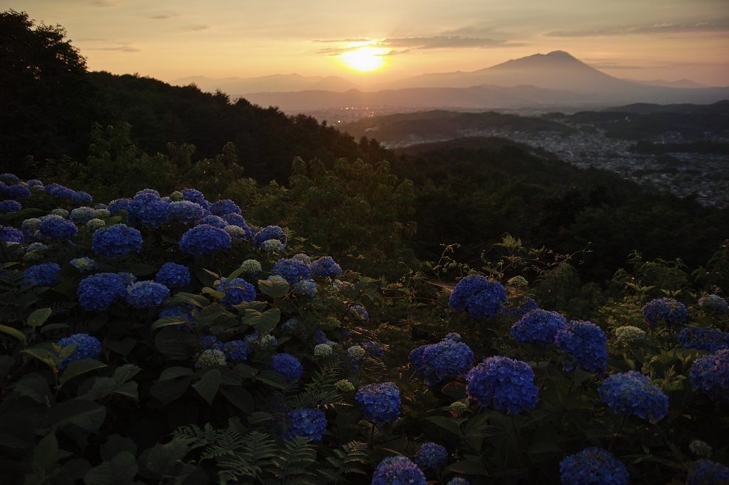 sunset blue