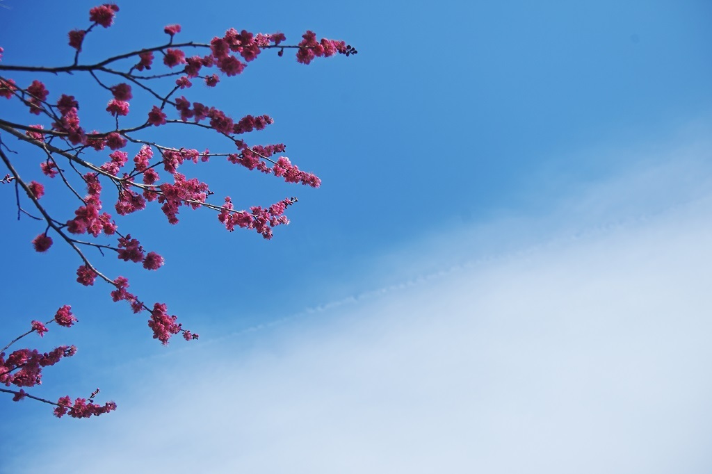 春空