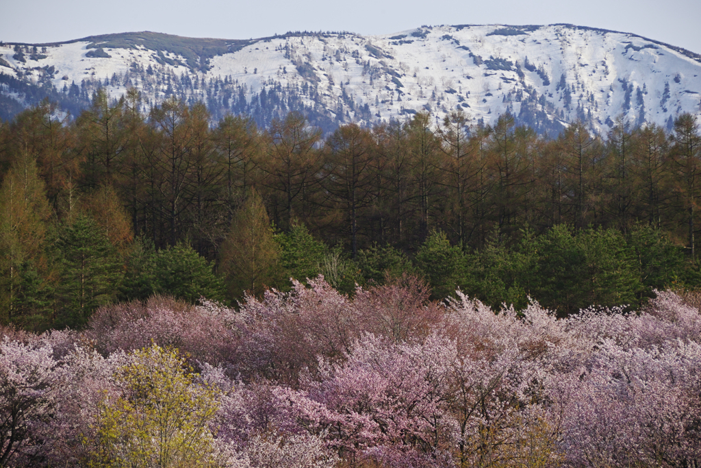 Seasonal changes
