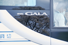 GALA