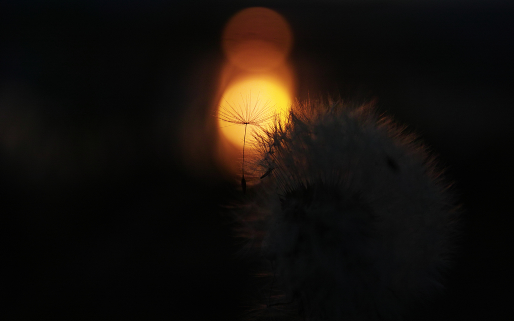 sun