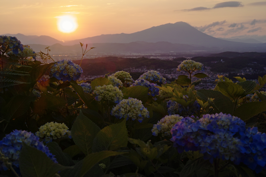 夕陽に包まれて