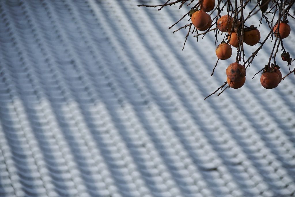 orange ②