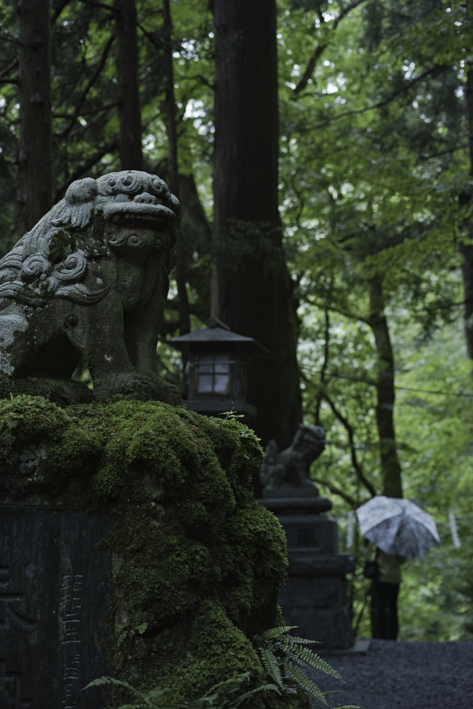 不動の雨