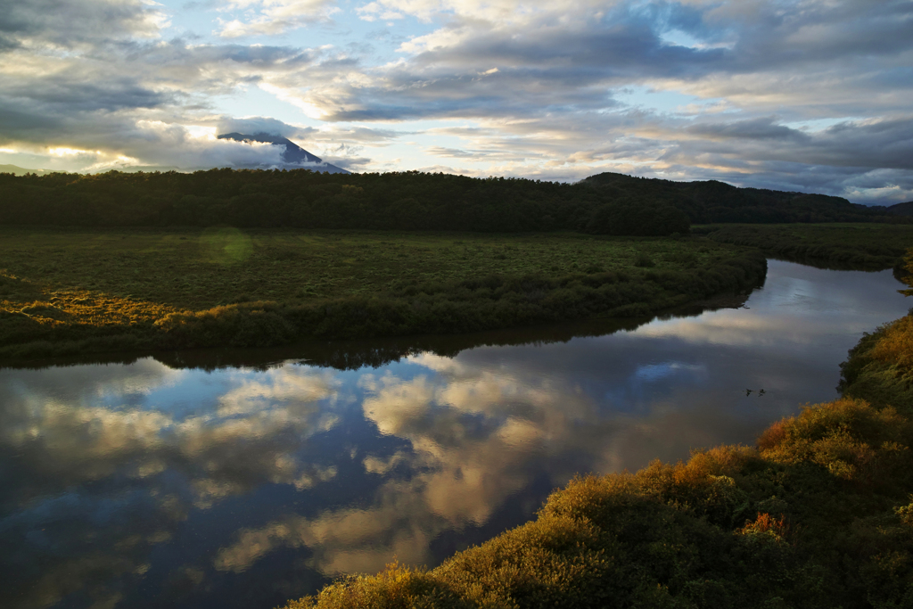 Reflection