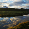 Reflection