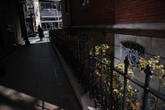 Street