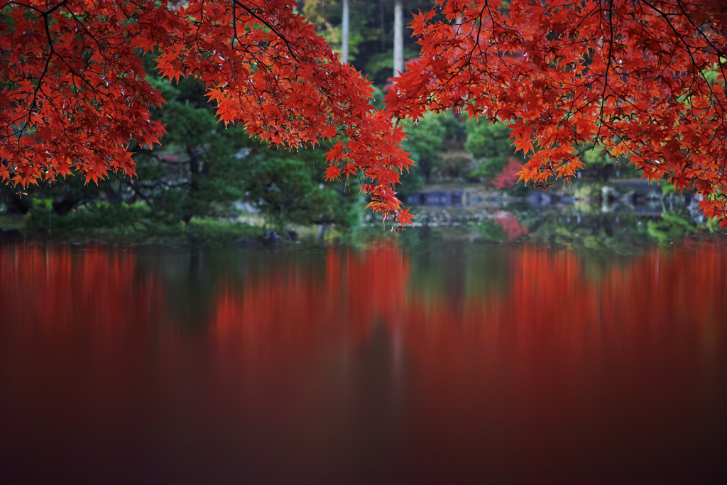 rouge