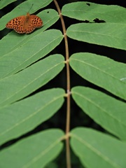5F