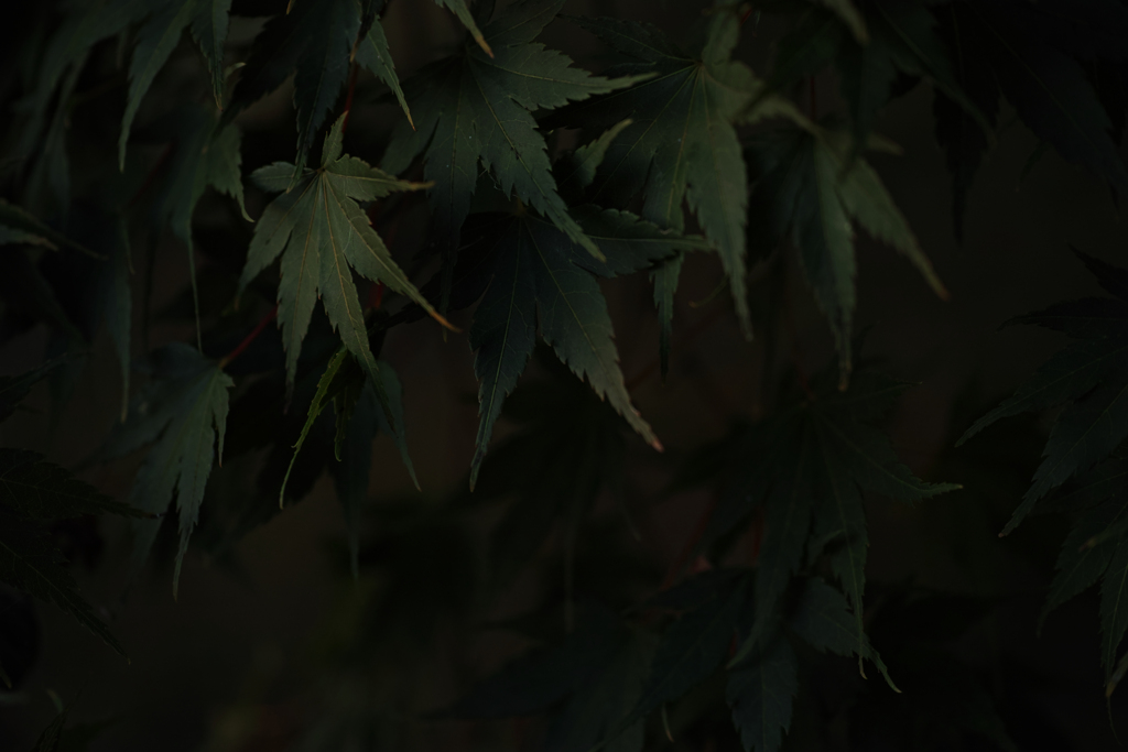 名残