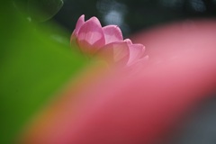 夏衣