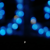 Moonlit night carnival