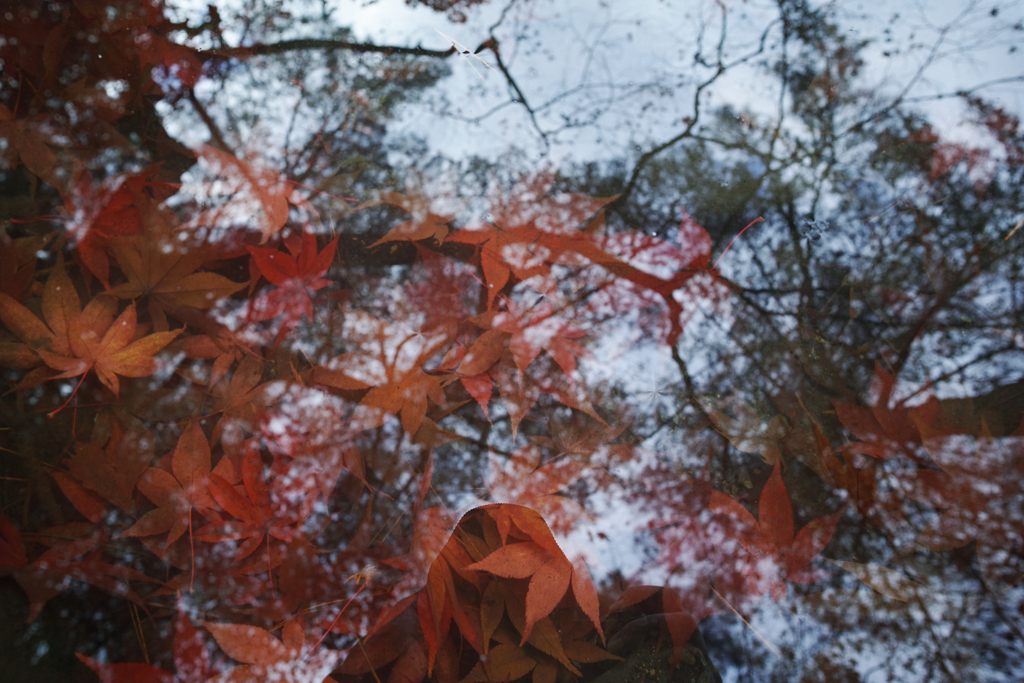 reflection ②