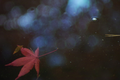 Dreaming
