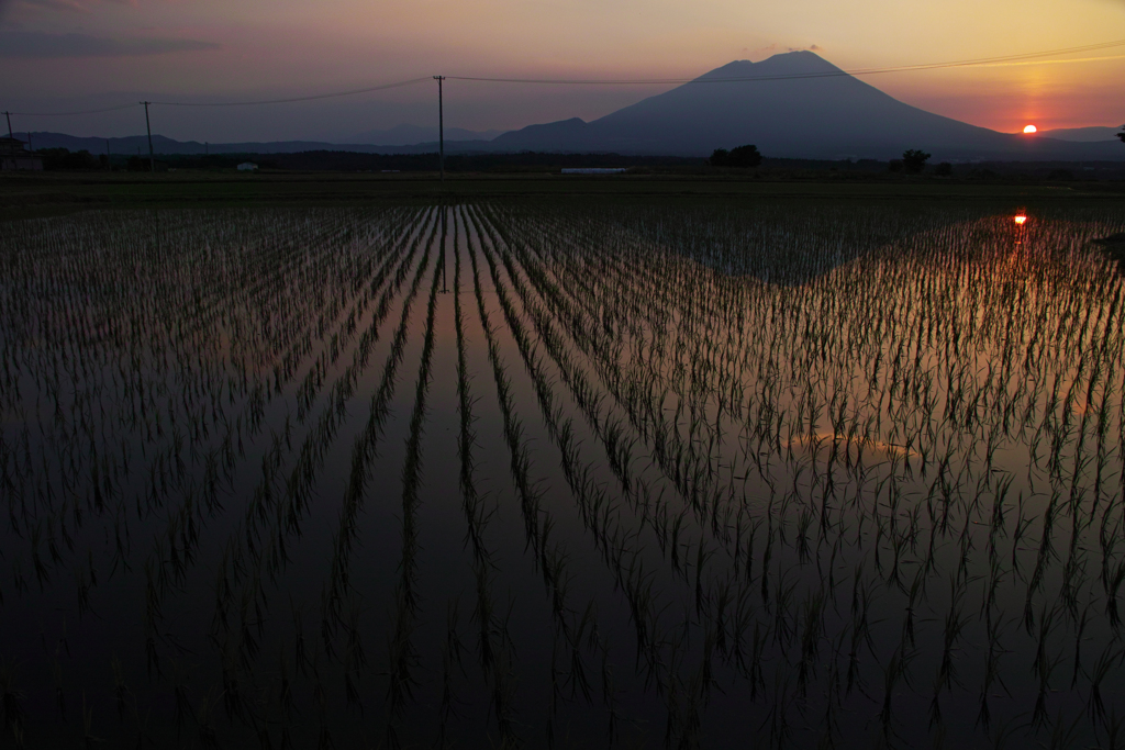 夕刻米