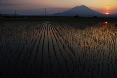 夕刻米