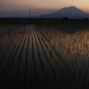 夕刻米