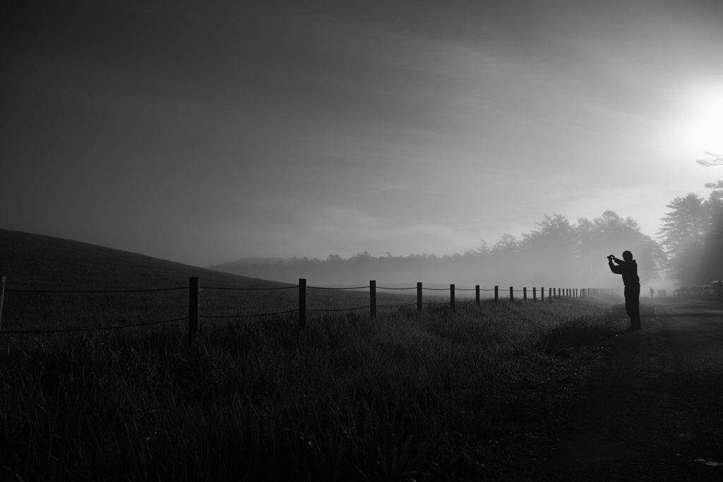 a misty