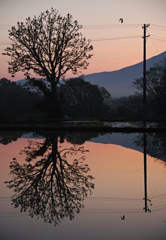 reflection