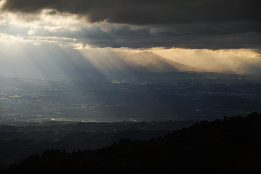 Light