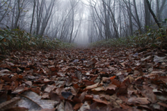 stairs to winter